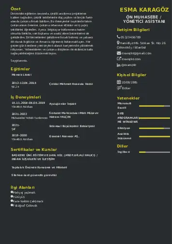 Yönetici Asistanı Cv Örnekleri cv indir